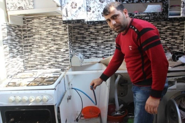 Fare bir aileyi yok ediyordu